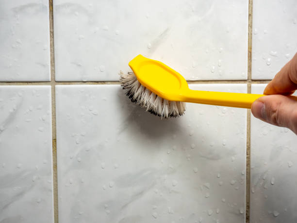 Best Mold Testing  in Bedford Hills, NY