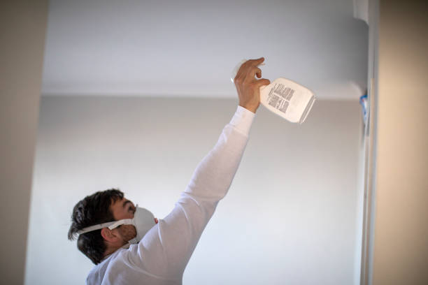 Best Mold Remediation Services  in Bedford Hills, NY
