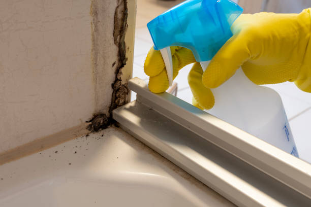 Best Mold Testing  in Bedford Hills, NY
