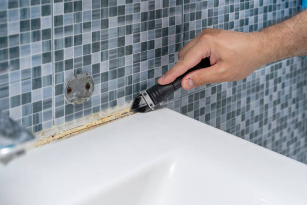 Best Best Mold Removal Companies  in Bedford Hills, NY